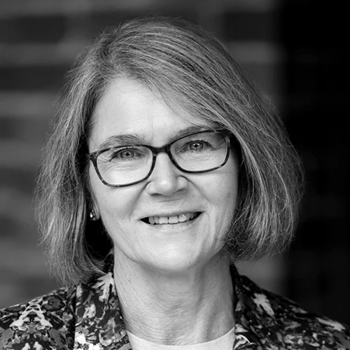 Graciela Metternicht