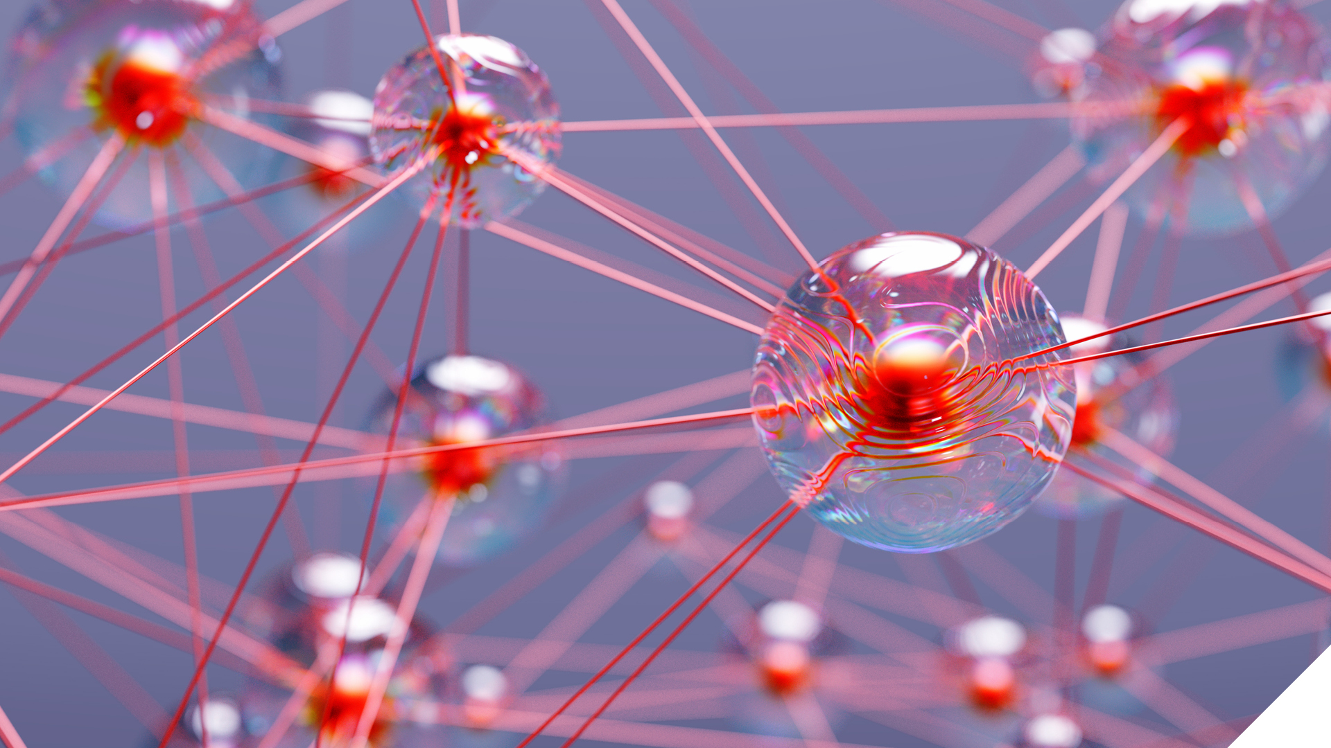 IMG SYF Molecules 250522