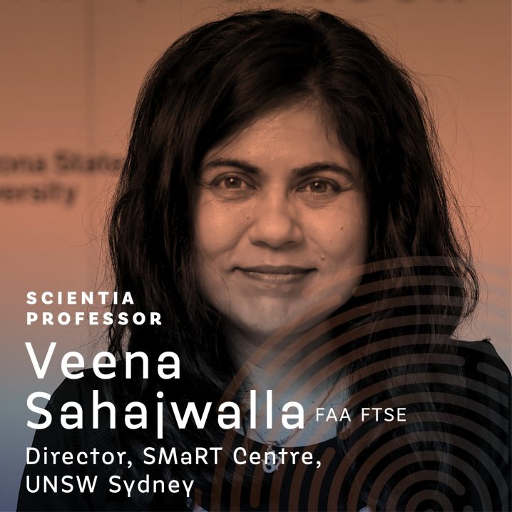 Photo of Veena Sahajwalla, Director, SMaRT Centre, UNSW Sydney