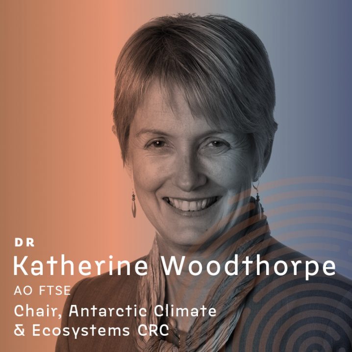 Photo of Katherine Woodthorpe, Chair, Antarctic Climate & Ecosystems CRC