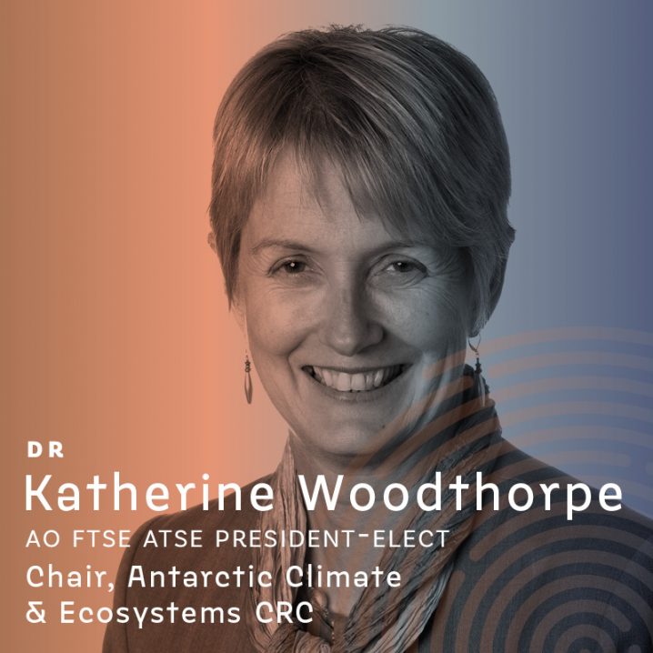 Woodthorpe-ACT speaker